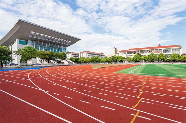 全塑型SPU跑道：從設計理念到實際應用的全面剖析